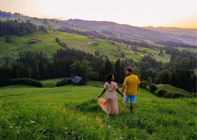 Luzern: Erlebe die Schweizer Landschaft auf einer privaten Tour mit dem Aut...