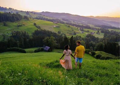 Luzern: Oplev det schweiziske landskab på en privat tur i bil