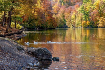 Explorez la beauté de Dilijan