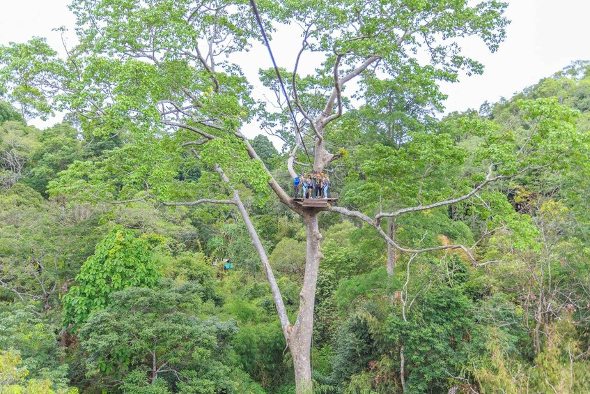 Picture 24 for Activity Phuket: ATV and Zipline Panoramic Adventure