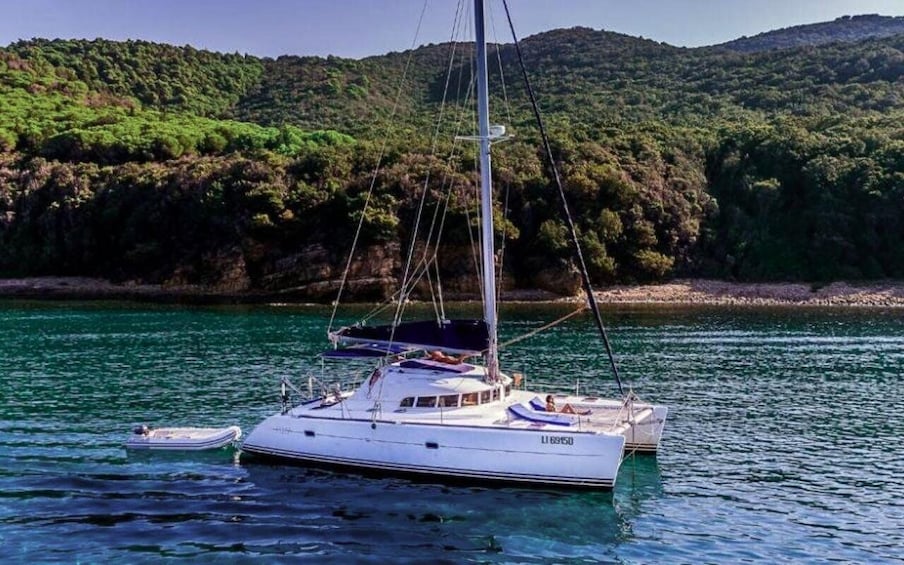 Picture 4 for Activity From Cannigione: Catamaran tour among La Maddalena islands
