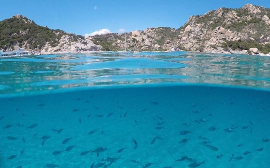 Picture 9 for Activity From Cannigione: Catamaran tour among La Maddalena islands