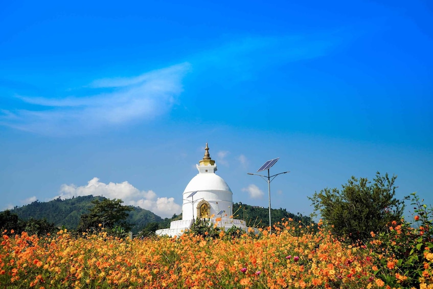 Picture 4 for Activity Pokhara: Himalayan Bliss - Sunset Tour On Peace Pagoda Hill