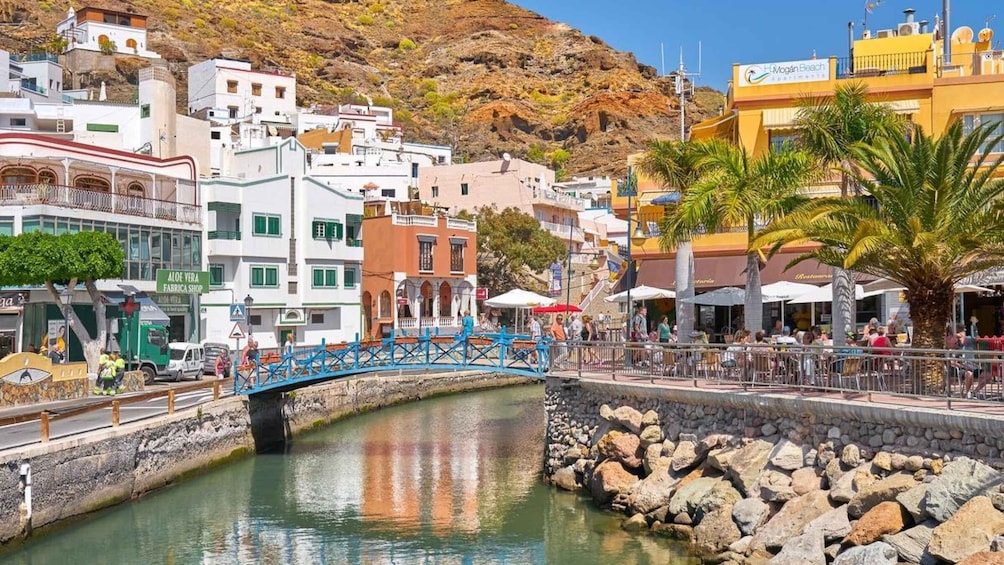 Picture 4 for Activity Gran Canaria : Dolphin boat excursion and market on Fridays