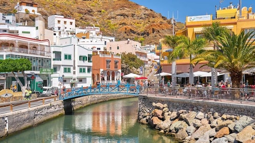 Gran Canaria : Dolphin boat excursion and market on Fridays