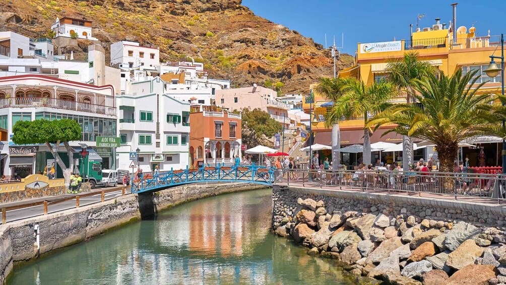 Picture 4 for Activity Gran Canaria : Dolphin boat excursion and market on Fridays