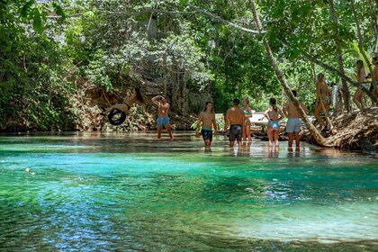 Ocho Ríos: tour por las cataratas del río Dunn y el Reggae Hill