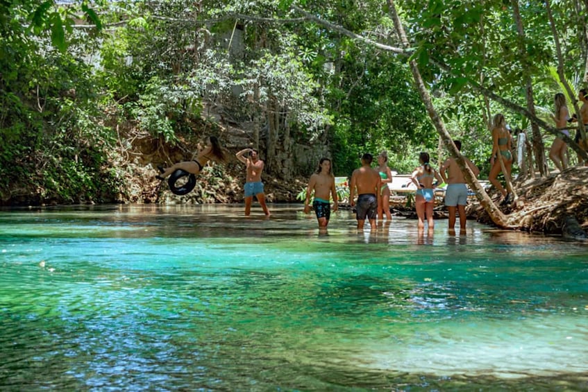 From Ocho Rios: Dunn’s River Falls & Reggae Hill Tour