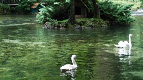 Bijambare Cave & Bosnia Spring Park: Tour from Sarajevo