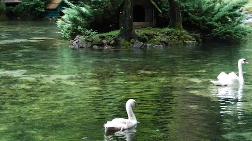 Bijambare Cave & Bosnia Spring Park: Tour from Sarajevo