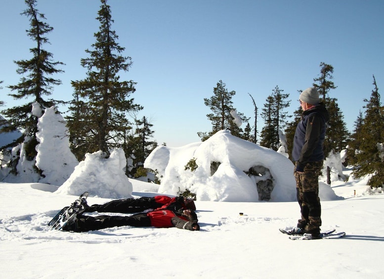 Picture 1 for Activity From Ruka: Snowshoeing in Riisitunturi National park