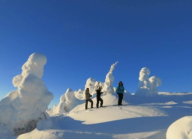 From Ruka: Snowshoeing in Riisitunturi National park