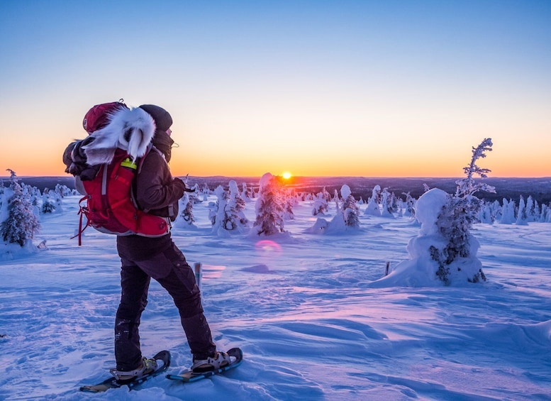 Picture 3 for Activity From Ruka: Snowshoeing in Riisitunturi National park