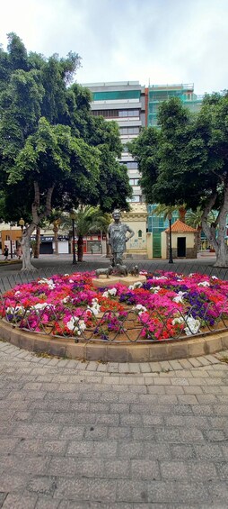 Picture 4 for Activity Las Palmas: Private City Highlights & Northern Villages Tour