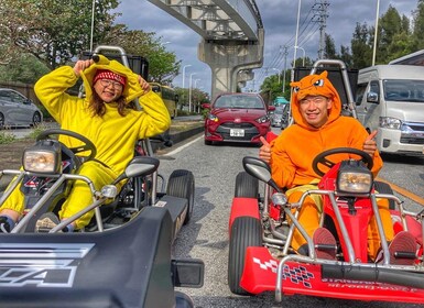 Go-kart Tour on Public Roads (International Driving Lisense)