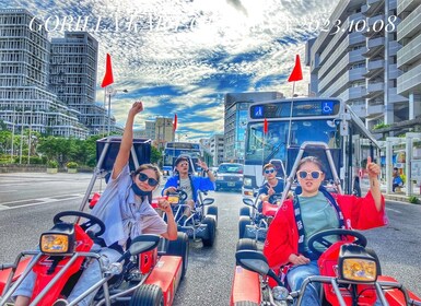 Go-kart Tour on Public Roads (International Driving Lisense)