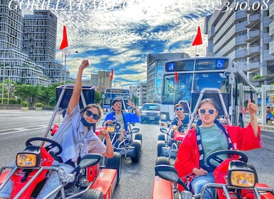 Go-kart Tour on Public Roads visiting many Landmarks