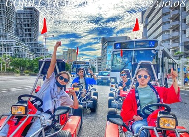 Go-kart Tour on Public Roads (International Driving Lisense)