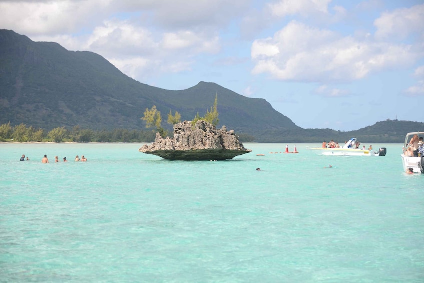 Picture 2 for Activity Mauritius: Ocean Swim with Dolphins & Benetiers Island Tour