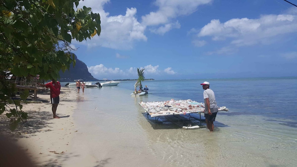 Picture 4 for Activity Mauritius: Ocean Swim with Dolphins & Benetiers Island Tour