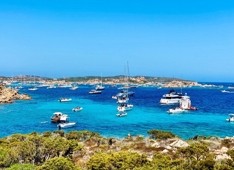 Picture 3 for Activity Maddalena Archipelago: Island-Hopping Sailing Tour and Lunch