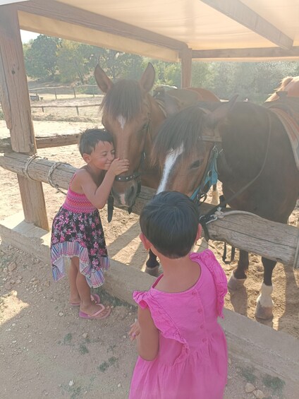 Thessaloniki:Horse Riding in a farm