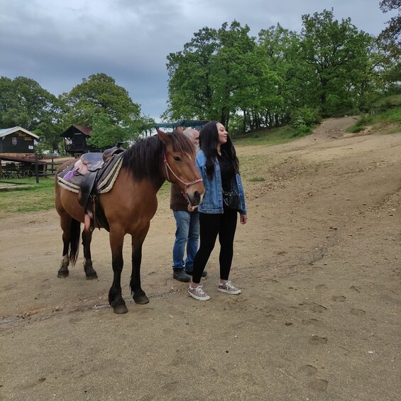 Picture 6 for Activity Thessaloniki:Horse Riding in a farm