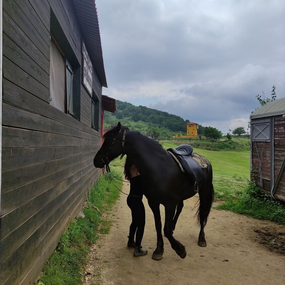 Picture 4 for Activity Thessaloniki:Horse Riding in a farm