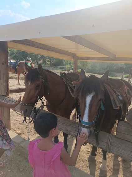 Picture 8 for Activity Thessaloniki:Horse Riding in a farm