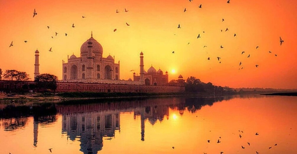 Picture 9 for Activity From Mumbai: Taj Mahal - Agra Tour with Entrance and Lunch