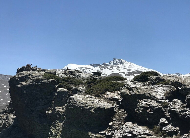 Picture 6 for Activity Sierra Nevada: E-bike ride to 3000 meters-10000 feet