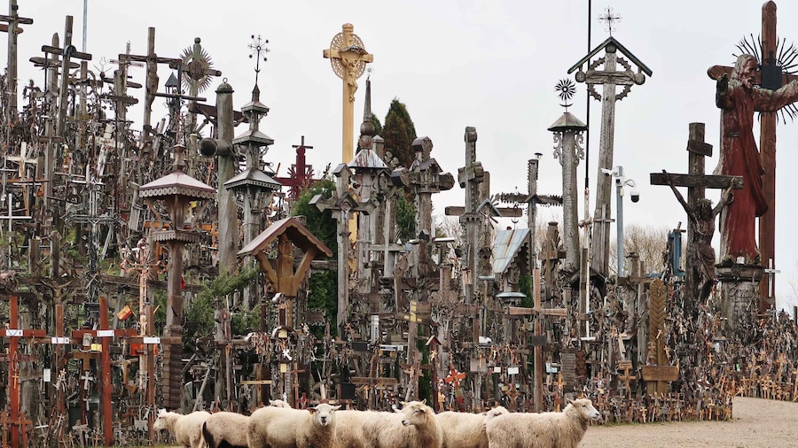From Riga: Hill of Crosses and Jelgava Gems Tour