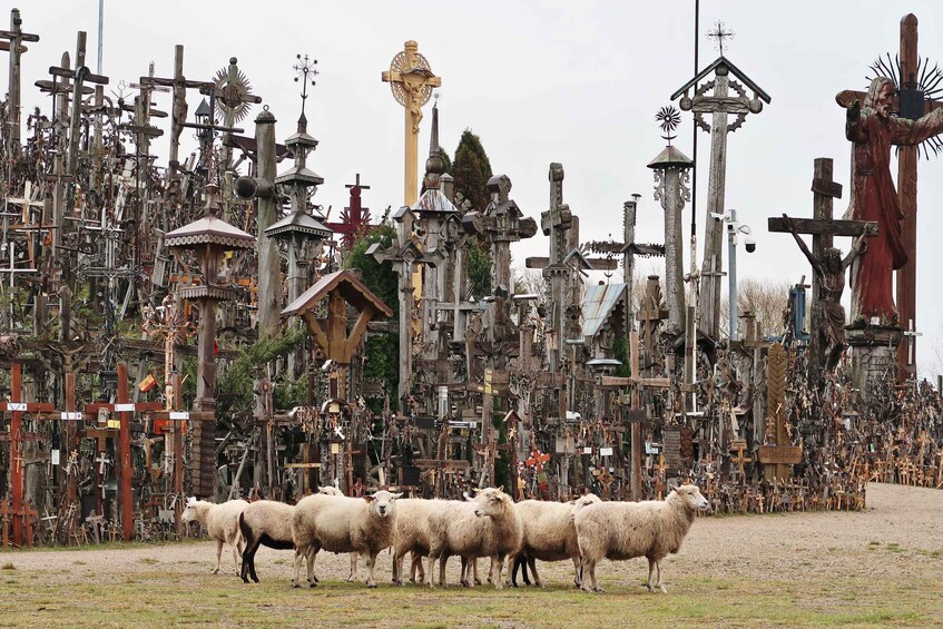 From Riga: Hill of Crosses and Jelgava Gems Tour