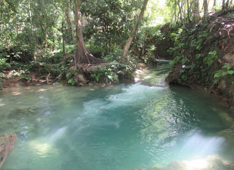 Picture 1 for Activity Benta River and Falls with Atv Adventures Private Tour