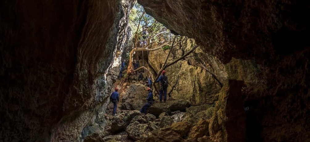 Setubal: Arrábida Natural Park Adventure Circuit