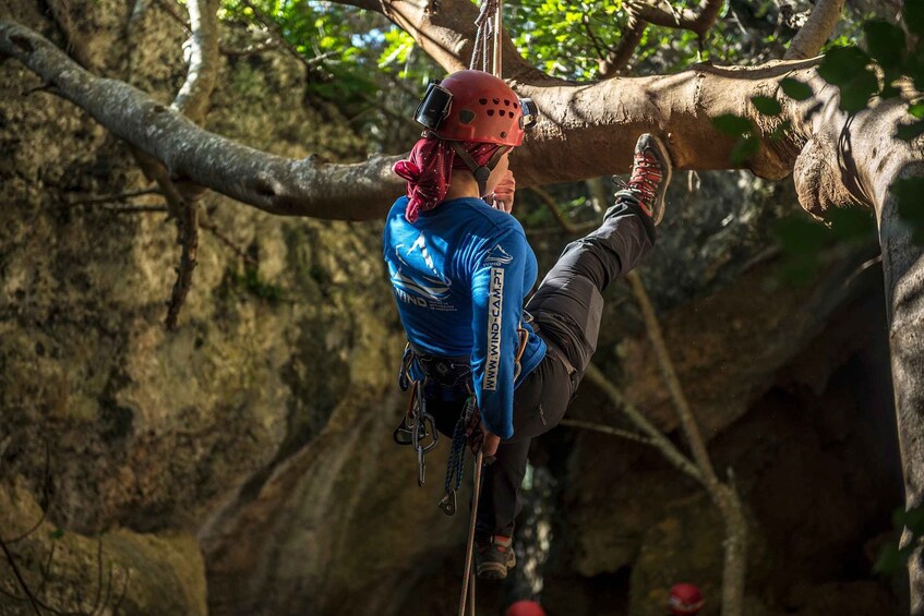 Picture 1 for Activity Setubal: Arrábida Natural Park Adventure Circuit