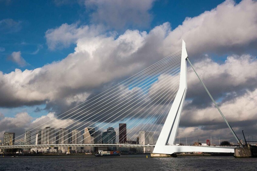Picture 1 for Activity Rotterdam: Private Tour with a Local
