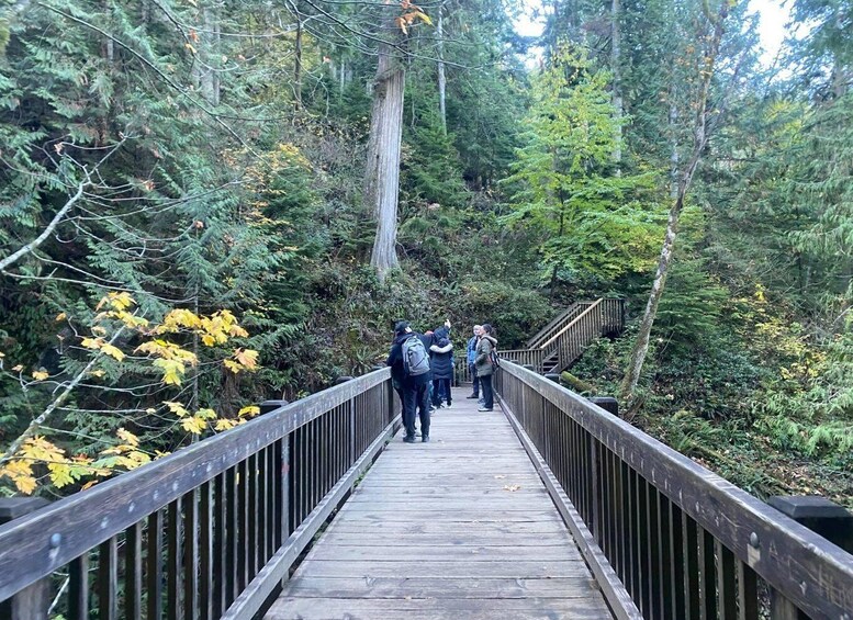 Picture 14 for Activity Seattle: Sensory Hike in Twin Fall for adventurous families