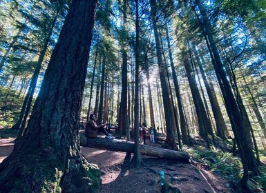 Seattle: Sensory Hike in Twin Autumn for adventurous families