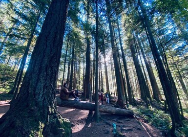 Seattle: Sensory Hike in Twin Fall for adventurous families