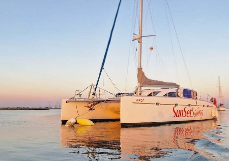 Faro: Come and discover Ria Formosa with us in our Catamaran