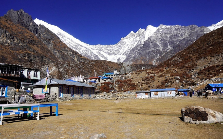 Picture 6 for Activity Langtang Valley Trek