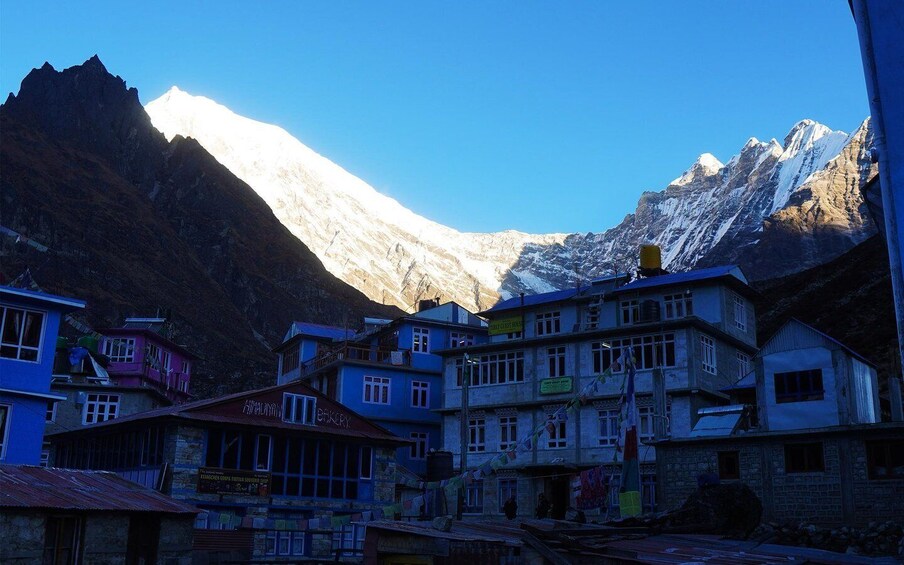 Picture 4 for Activity Langtang Valley Trek