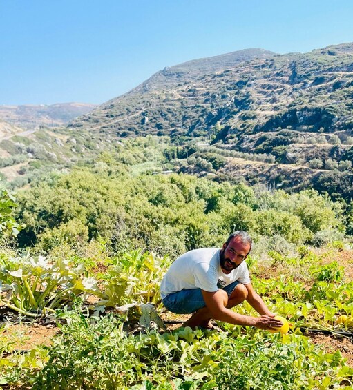 Picture 6 for Activity Melanes: Naxos Perivoli Farm & Cooking Class with Wood Fire