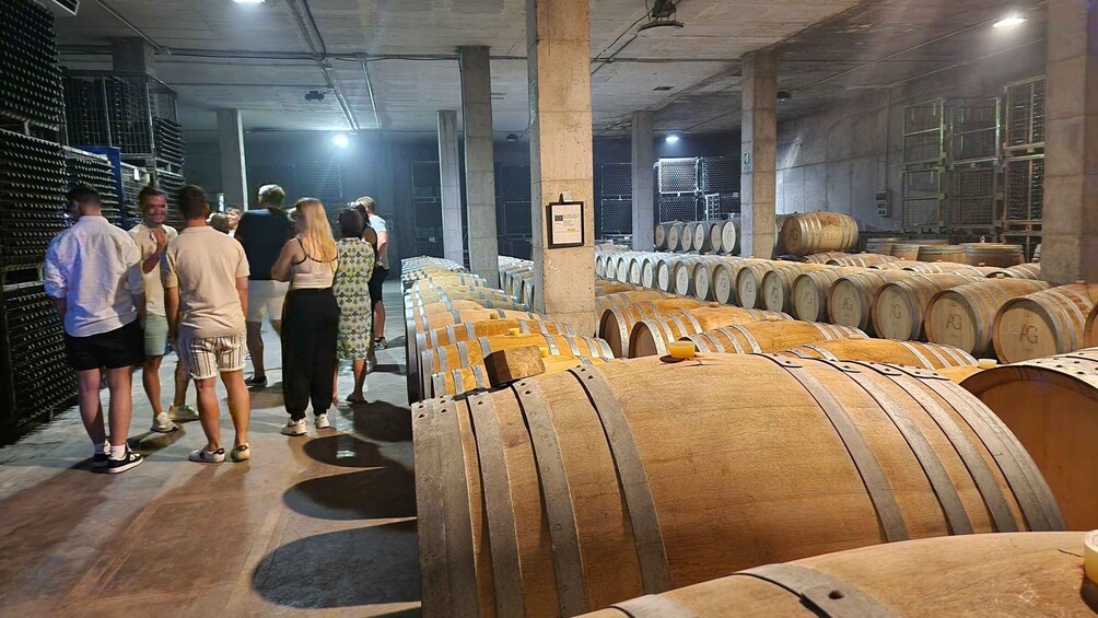 Picture 9 for Activity Mallorca: Wine Cellar Tour XL - 3 Wine Tastings incl. GERMAN