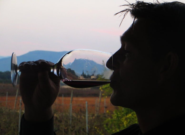 Picture 4 for Activity Mallorca: Wine Cellar Tour XL - 3 Wine Tastings incl. GERMAN