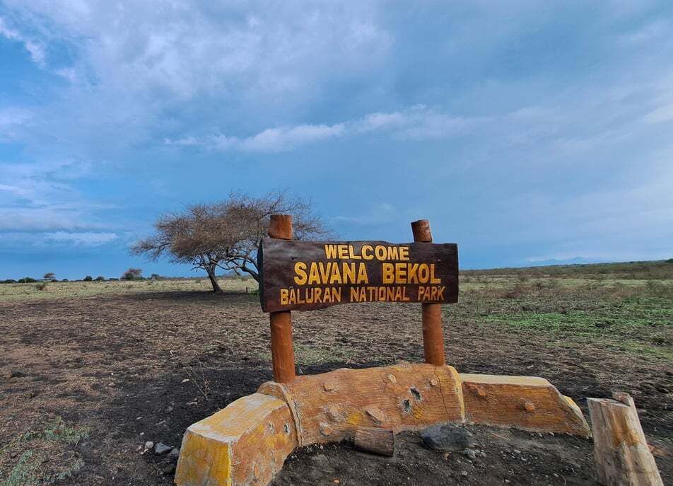 Picture 3 for Activity Banyuwangi: Private Car Charter Professional Driver by Van