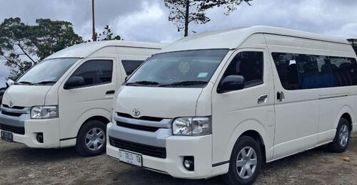 Banyuwangi: Private Car Charter Professional Driver by Van