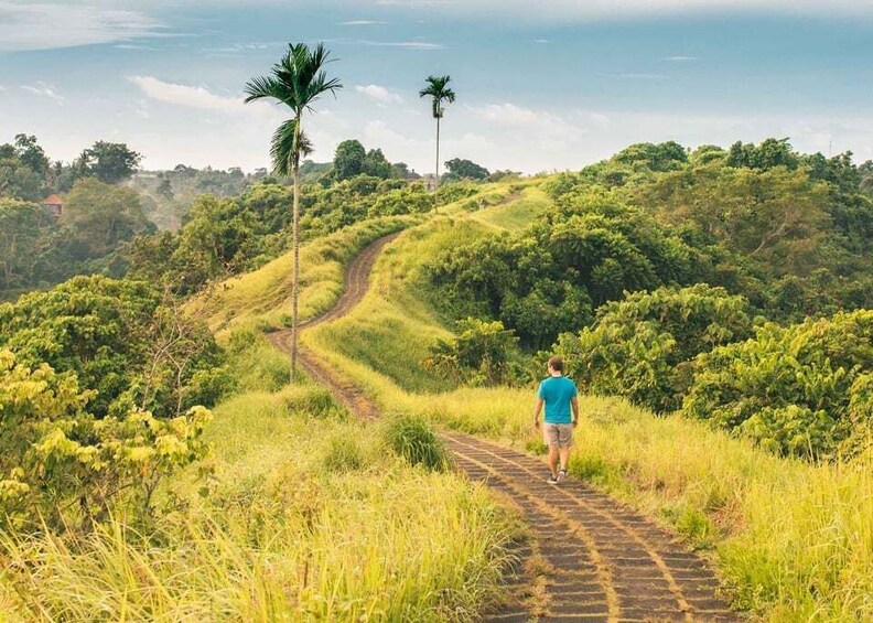 Picture 5 for Activity Must-Do Tours in Bali: Mt. Batur, Nusa Penida & Instagram