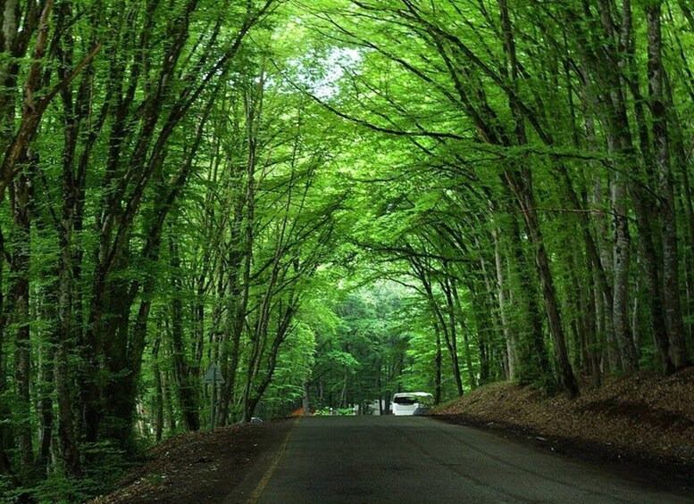 Picture 6 for Activity From Baku: Guba-Khinalig , Candy Cane Mountain day trip